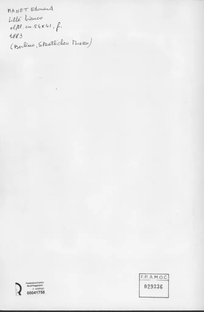 Anonimo , Manet, Edouard - sec. XIX , retro