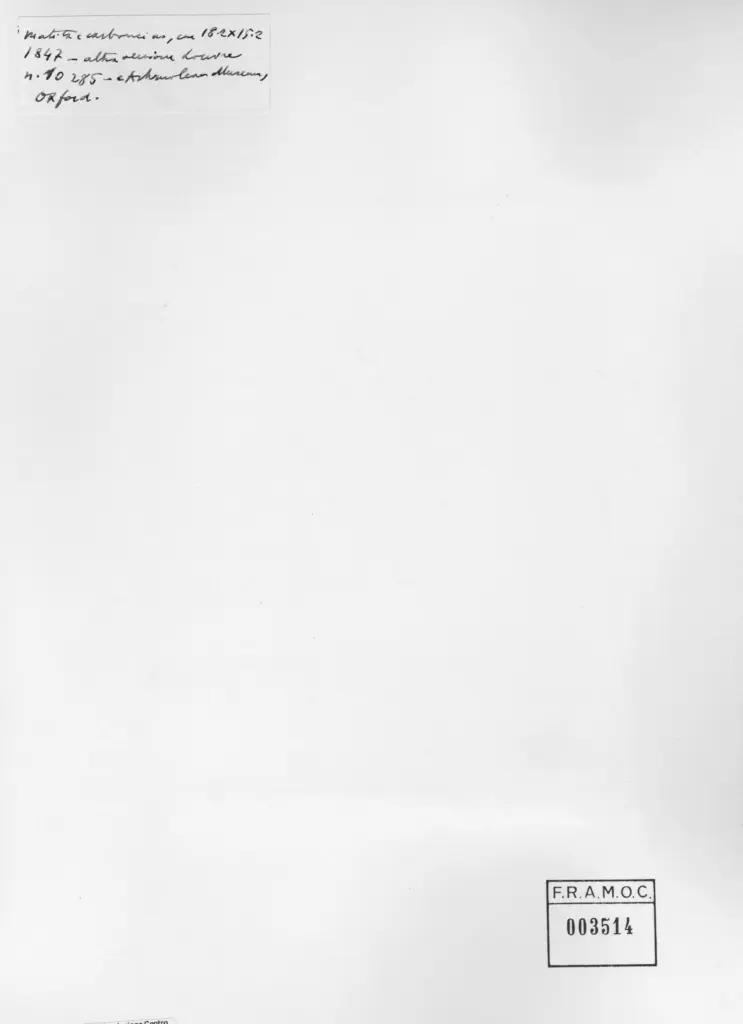 Anonimo , Millet, Jean Francois - sec. XIX - Ritratto di uomo , retro