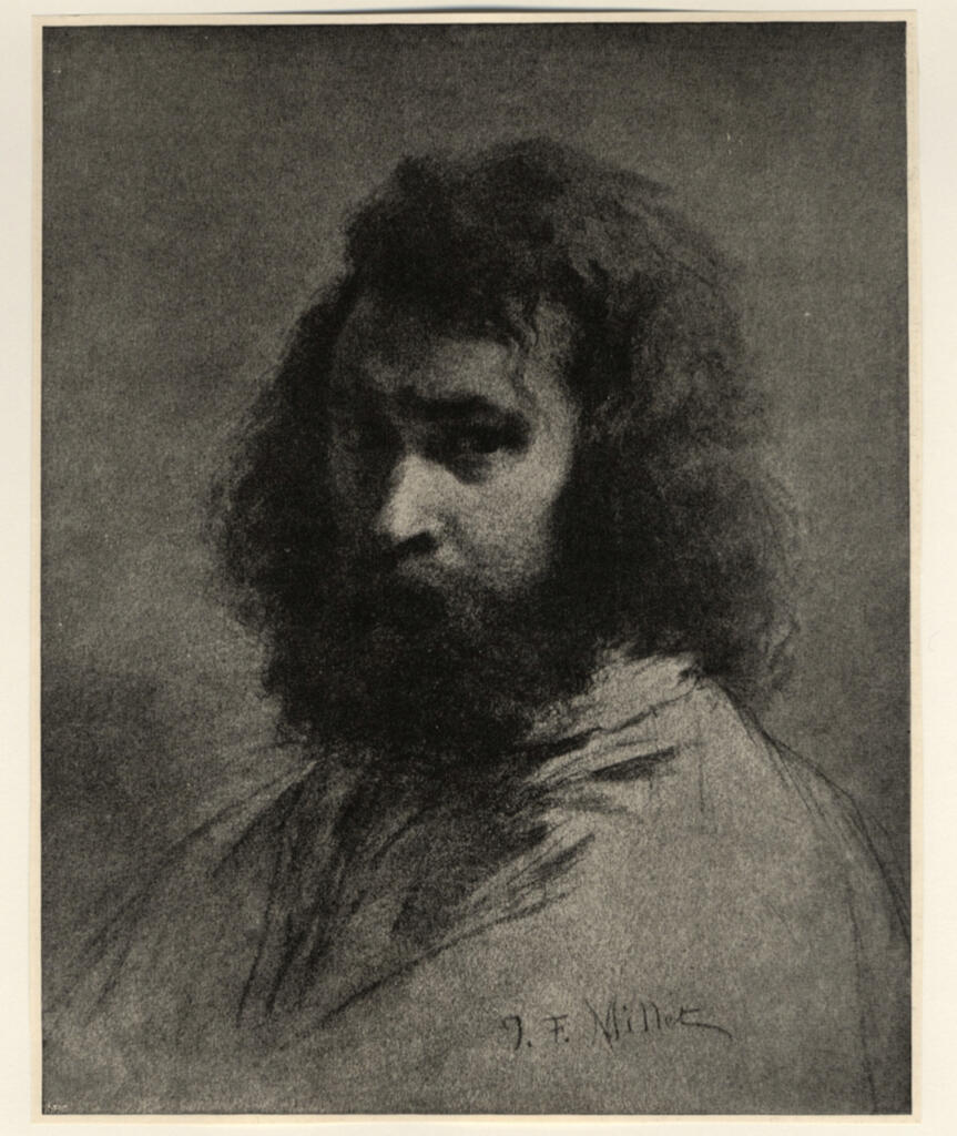 Braun , fronte