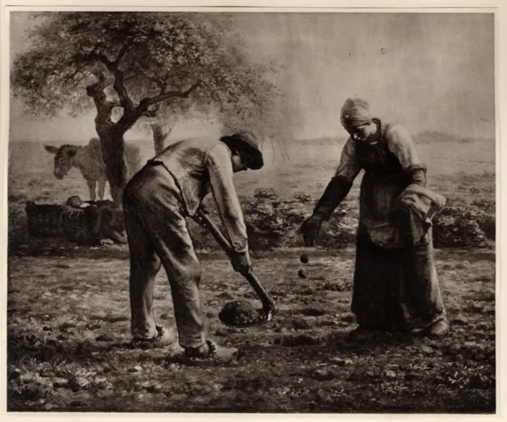Anonimo , Millet, Jean Francois - sec. XIX - Piantatori di patate , fronte