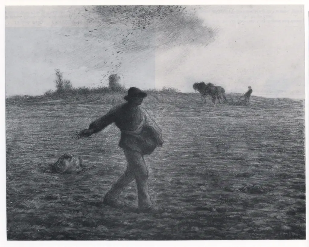 Millet, Jean Francois , The Sower (il seminatore)