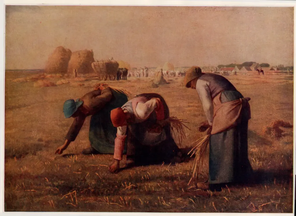 Anonimo , Millet, Jean Francois - sec. XIX - Les glaneuses , fronte