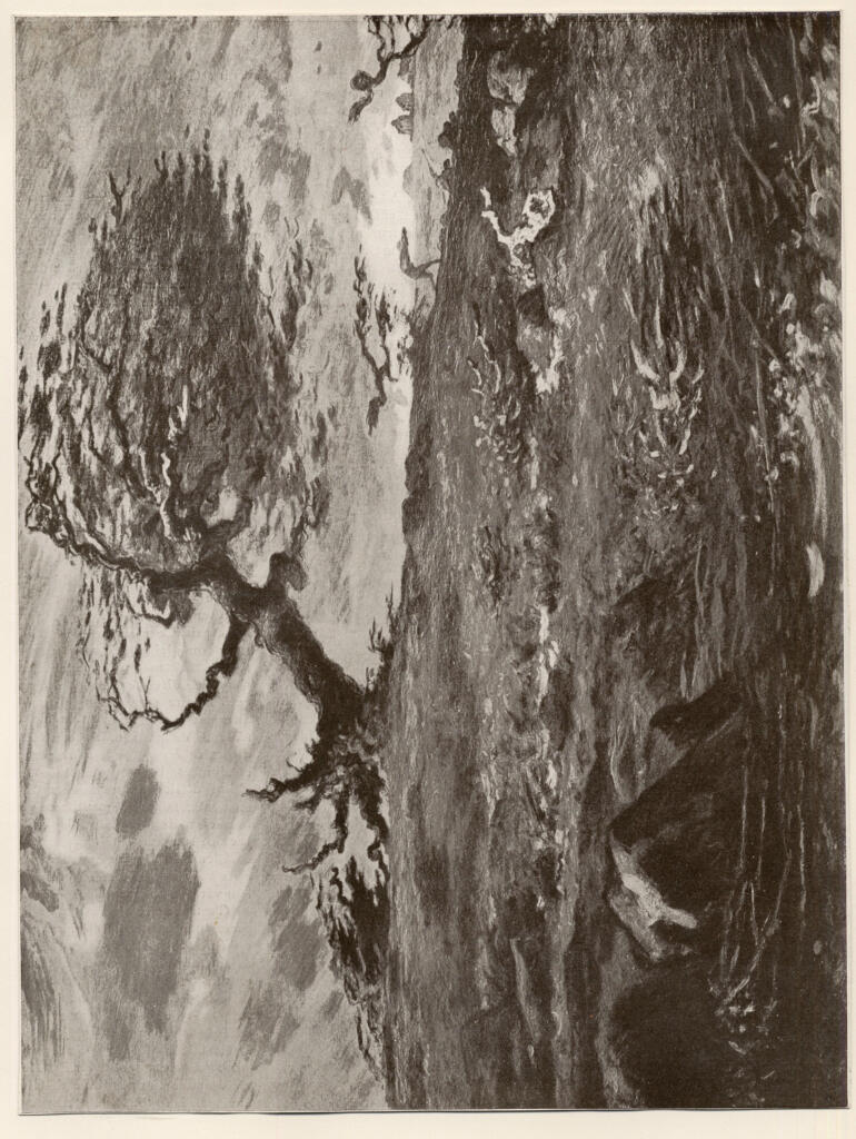 Druet, E. , fronte