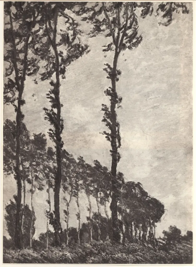 Anonimo , Monet, Claude - sec. XIX - Les peupliers, effet de vent , fronte