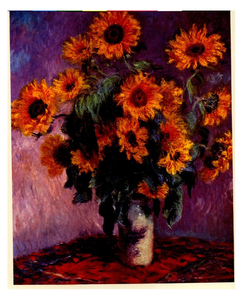 Anonimo , Monet, Claude - sec. XIX - Girasoli , fronte