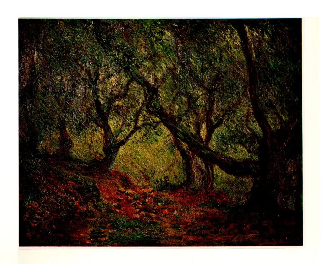 Anonimo , Monet, Claude - sec. XIX - Bois d'oliviers , fronte