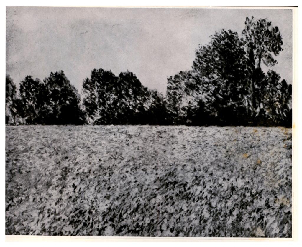 Anonimo , Monet, Claude - sec. XIX - Bluhendes Mohnfeld , fronte