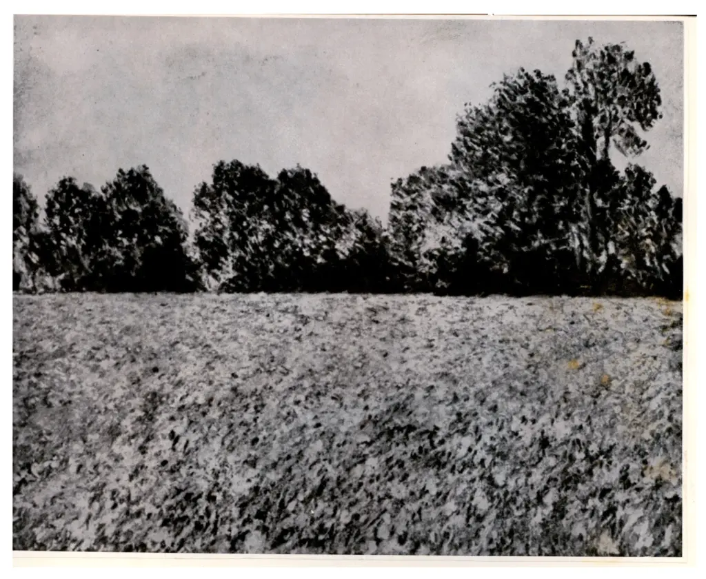 Anonimo , Monet, Claude - sec. XIX - Bluhendes Mohnfeld , fronte