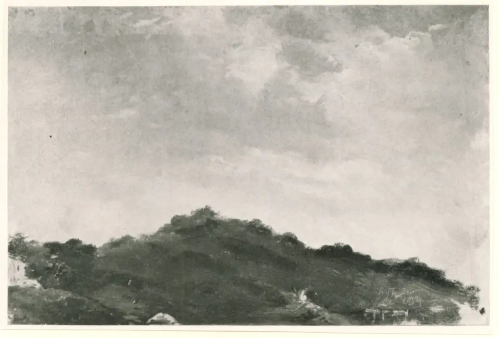 Anonimo , Pissarro, Camille - sec. XIX - Coteau &agrave; St. Thomas