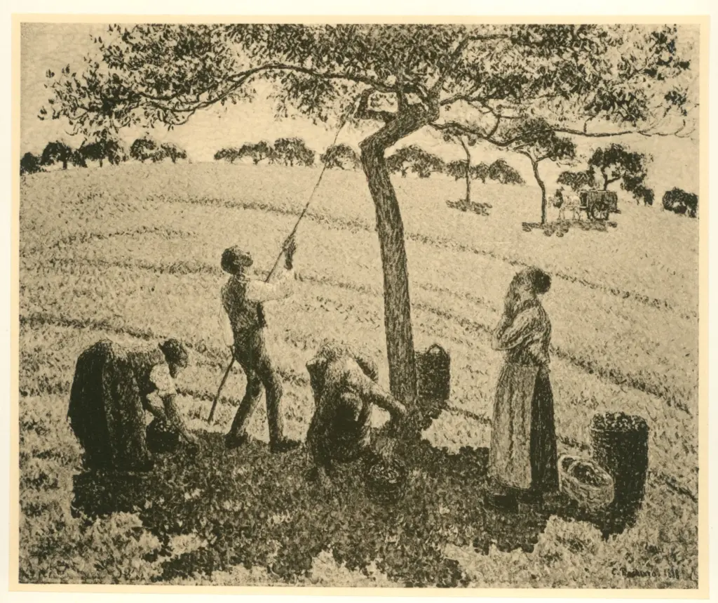 Anonimo , Pissarro, Camille - sec. XIX - Apfelernte , fronte