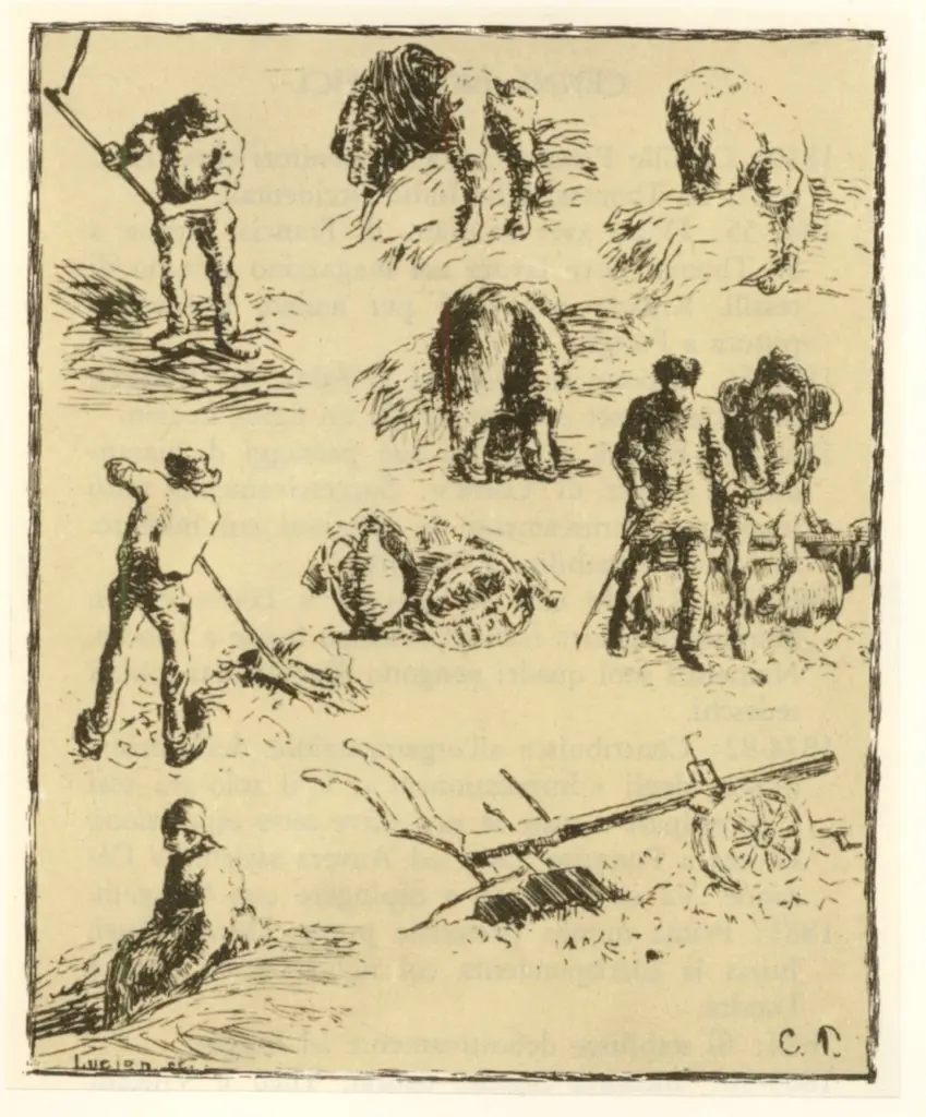 Anonimo , Pissarro, Camille - sec. XIX - Contadini nel campo