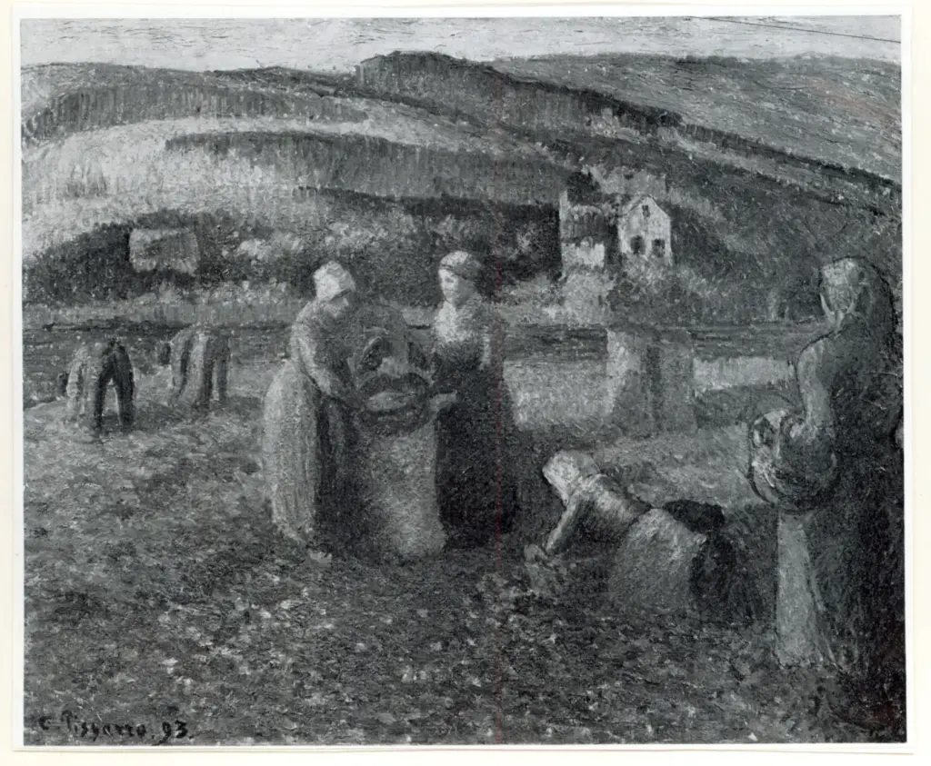 Anonimo , Pissarro, Camille - sec. XIX - La r&eacute;colte des pommes de terre , fronte