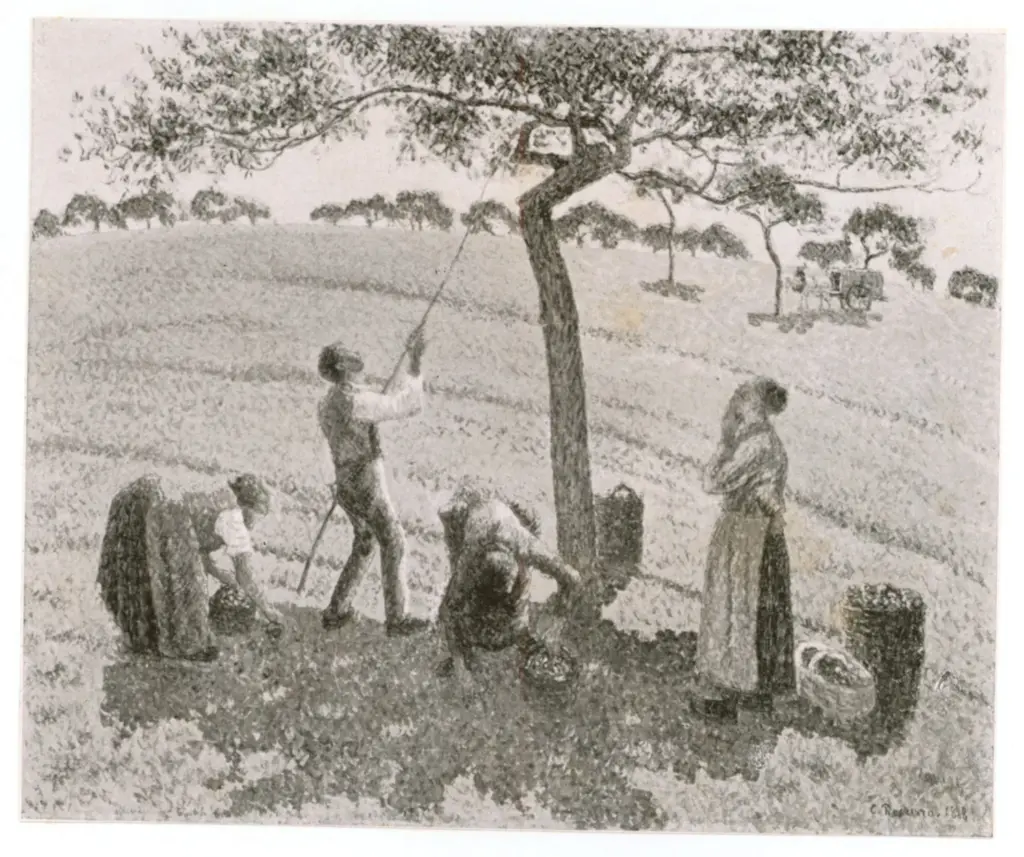 Anonimo , Pissarro, Camille - sec. XIX , fronte