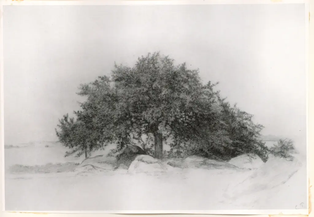 Anonimo , Pissarro, Camille , fronte