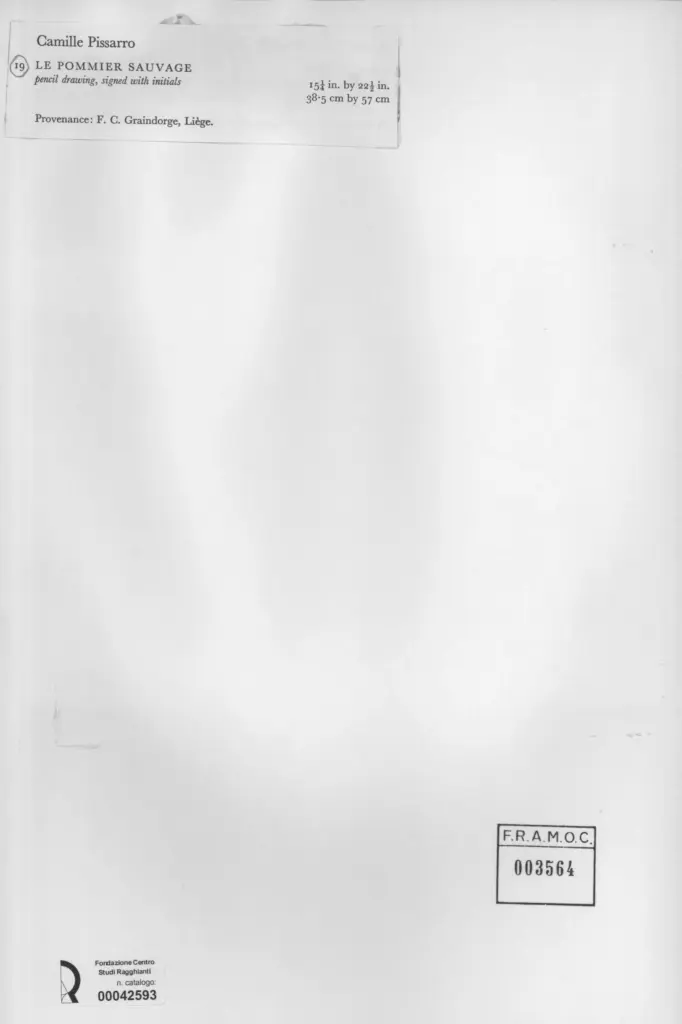 Anonimo , Pissarro, Camille , retro