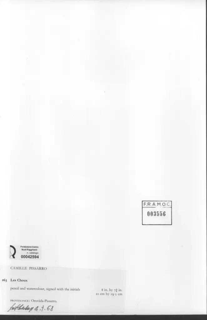 Anonimo , Pissarro, Camille - sec. XIX - Les Choux , retro