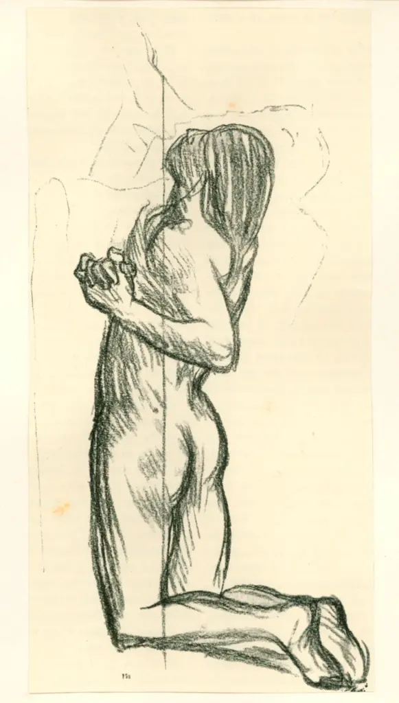 Anonimo, Anonimo , fronte