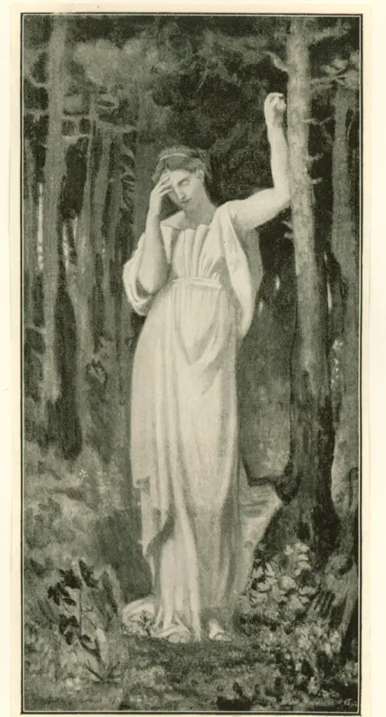 Anonimo, Anonimo , fronte