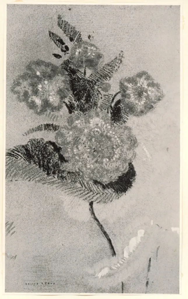 Anonimo, Anonimo , fronte