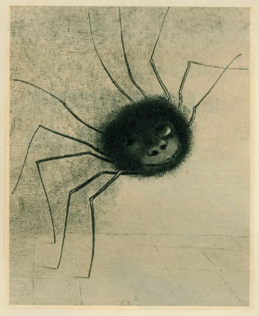 Anonimo, Anonimo , fronte