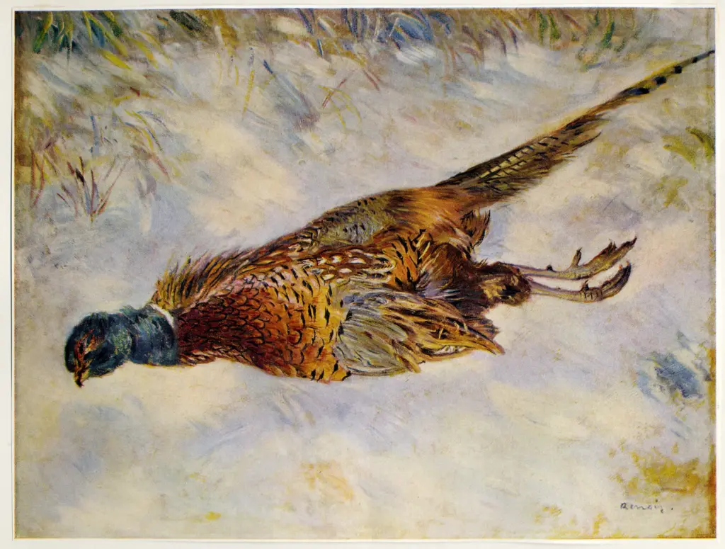 Anonimo , Renoir, Pierre Auguste - sec. XIX - Fagiano sulla neve , fronte