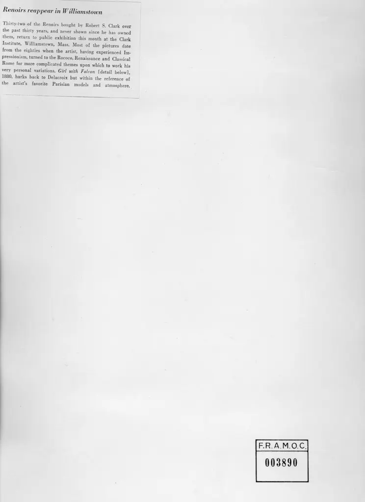 Anonimo , Renoir, Pierre Auguste - sec. XIX - Ragazza con falco , retro