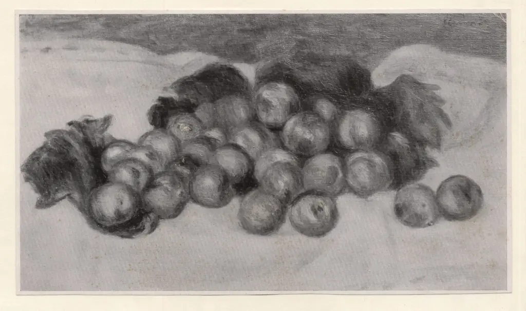 Anonimo , Renoir, Pierre Auguste - sec. XIX - Prugne , fronte