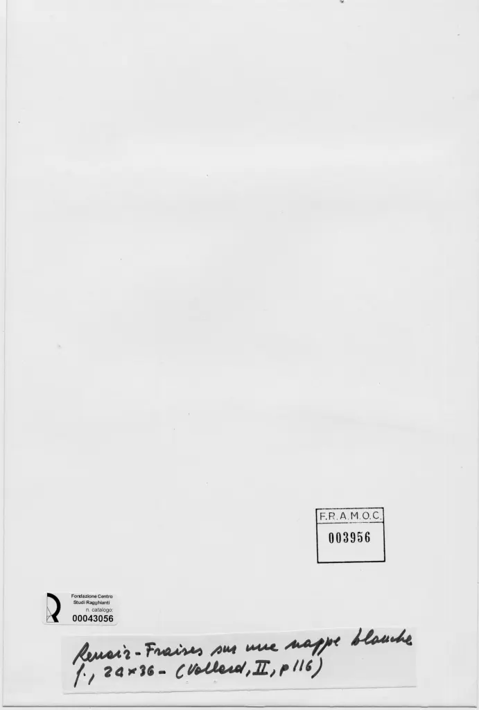 Anonimo , Renoir, Pierre Auguste - sec. XIX - Fragole su telo bianco , retro