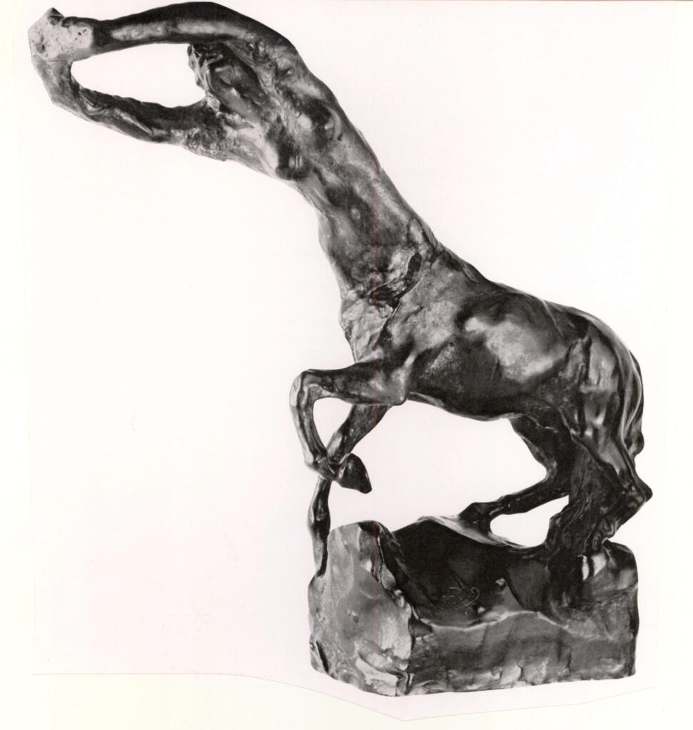Anonimo , fronte