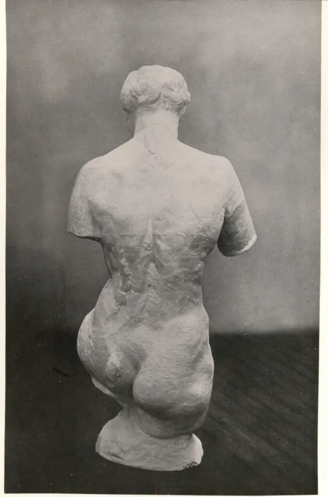 Anonimo, Anonimo , fronte