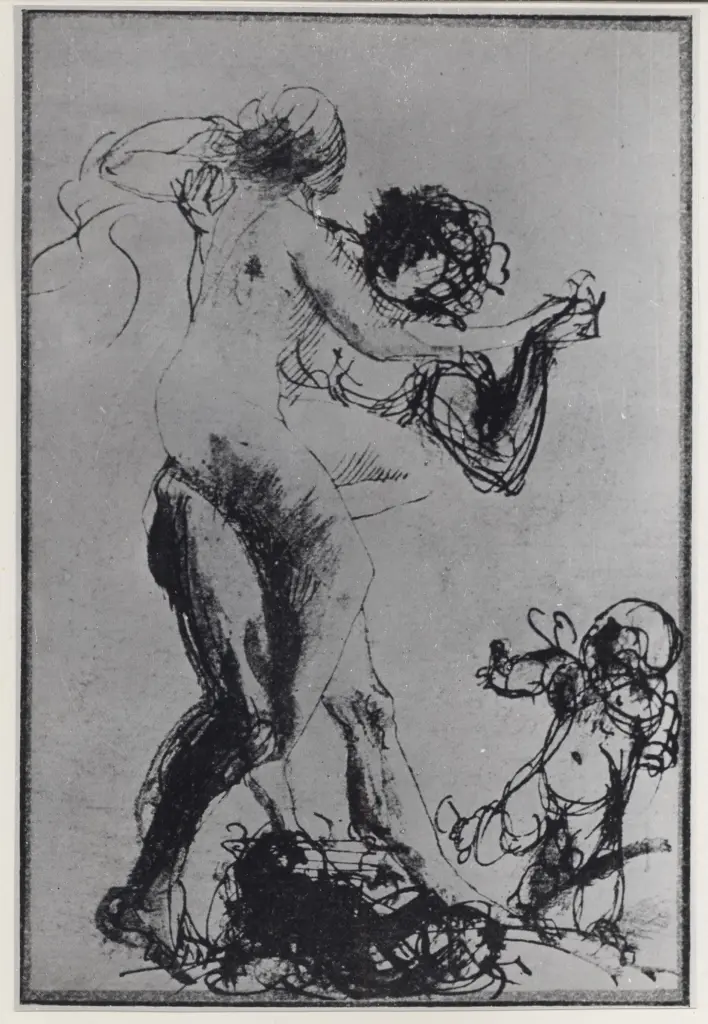 Anonimo, Anonimo , fronte