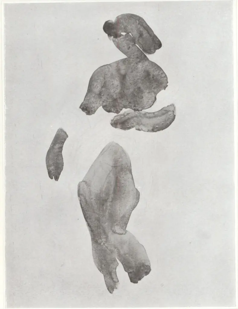 Anonimo, Anonimo , fronte