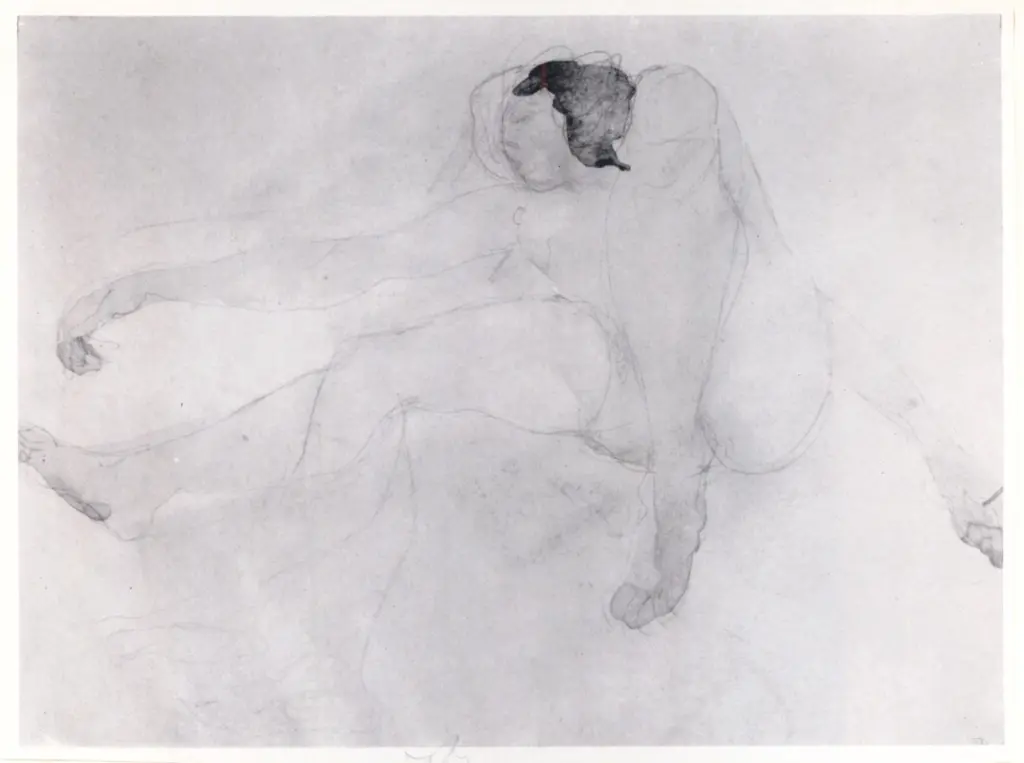 Anonimo, Anonimo , fronte