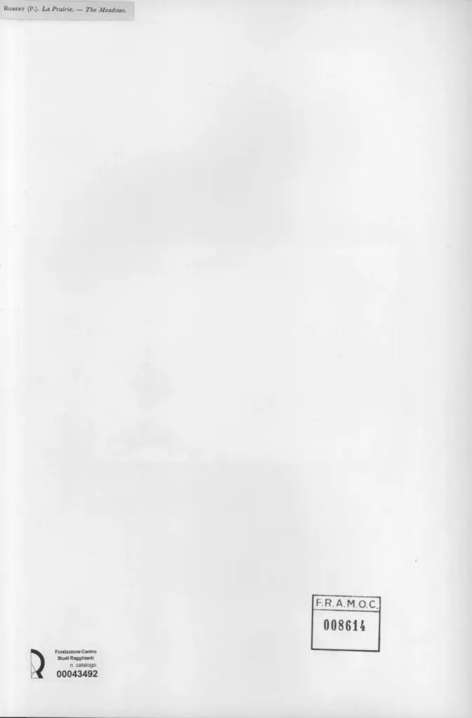 Anonimo , Robert, Paul - sec. XIX - La prairie , retro