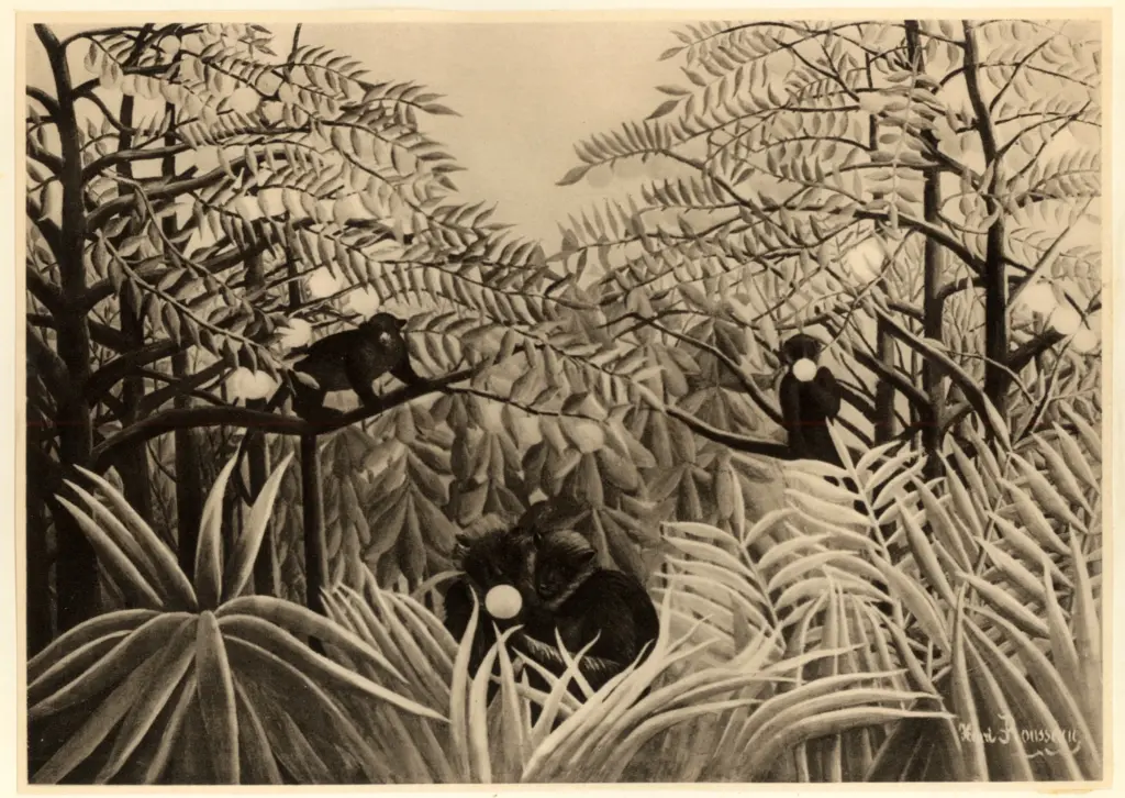 Anonimo , Rousseau, Henri - sec. XX - Singes dans la for&ecirc;t (Tropiques) , fronte