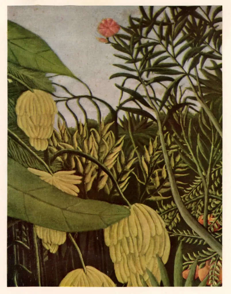 Anonimo , Rousseau, Henri - sec. XX , fronte