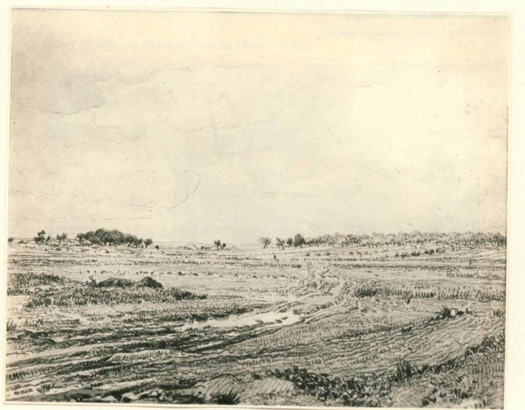 Anonimo , fronte