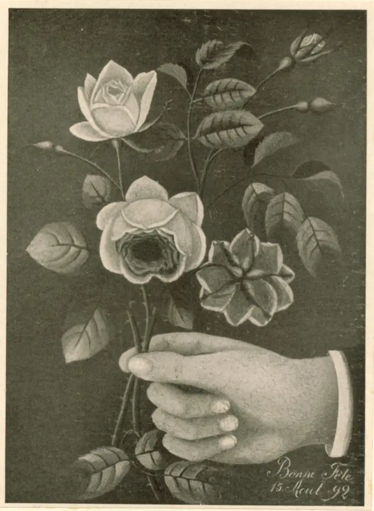 Anonimo , Rousseau, Henri , fronte