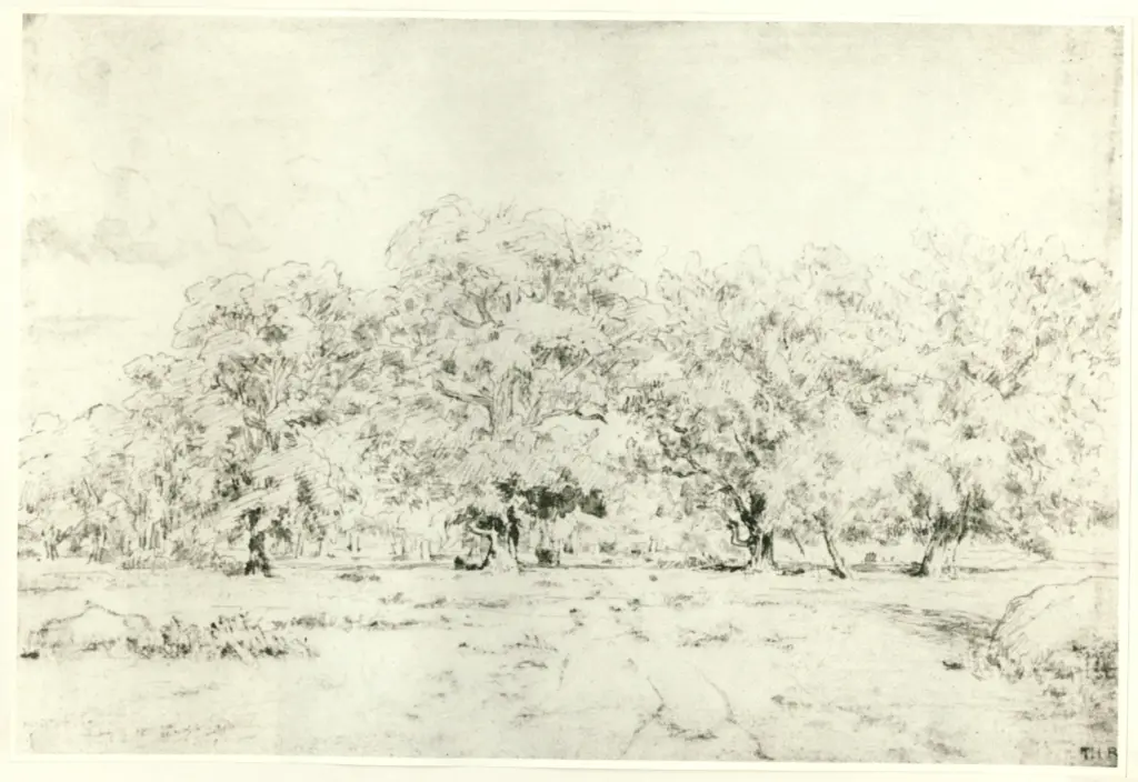 Rousseau, Th&eacute;odore , Le grand ch&ecirc;ne