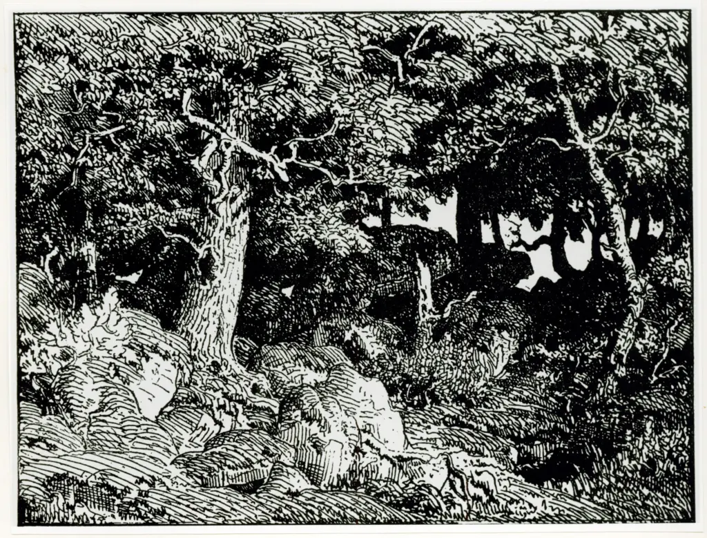 Anonimo, Anonimo , fronte