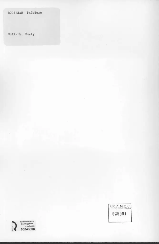 Anonimo, Anonimo , retro