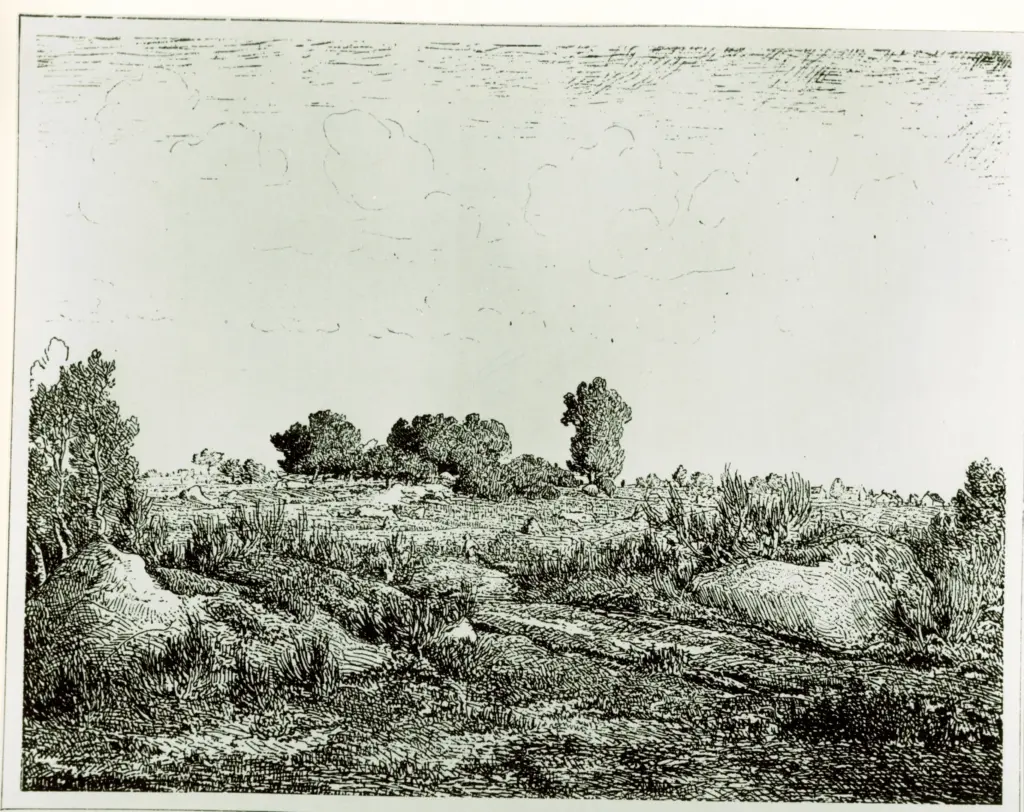 Anonimo, Anonimo , fronte