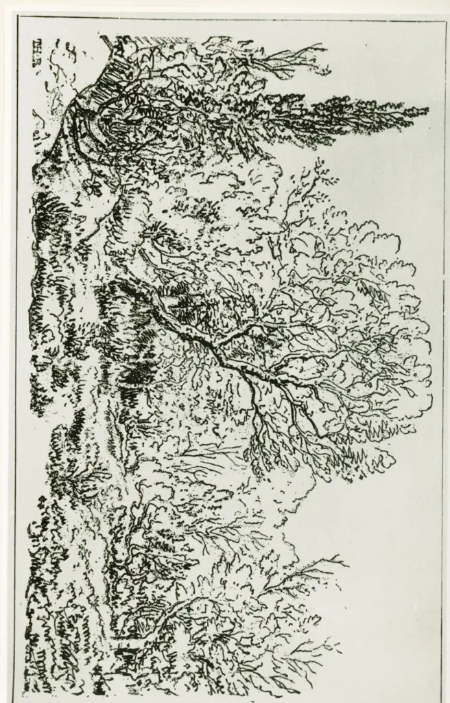 Anonimo, Anonimo , fronte