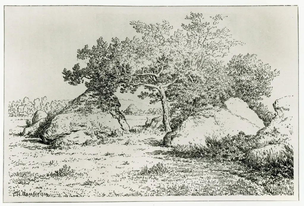 Anonimo, Anonimo , fronte