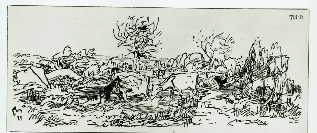 Anonimo, Anonimo , fronte