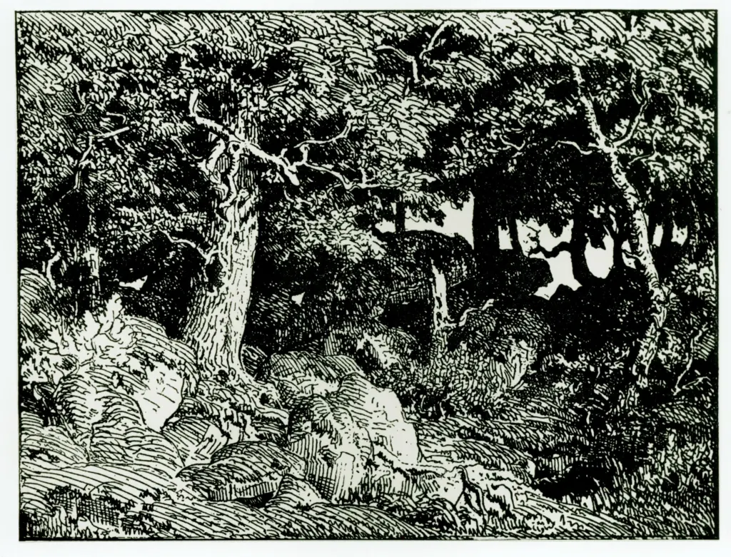 Anonimo, Anonimo , fronte