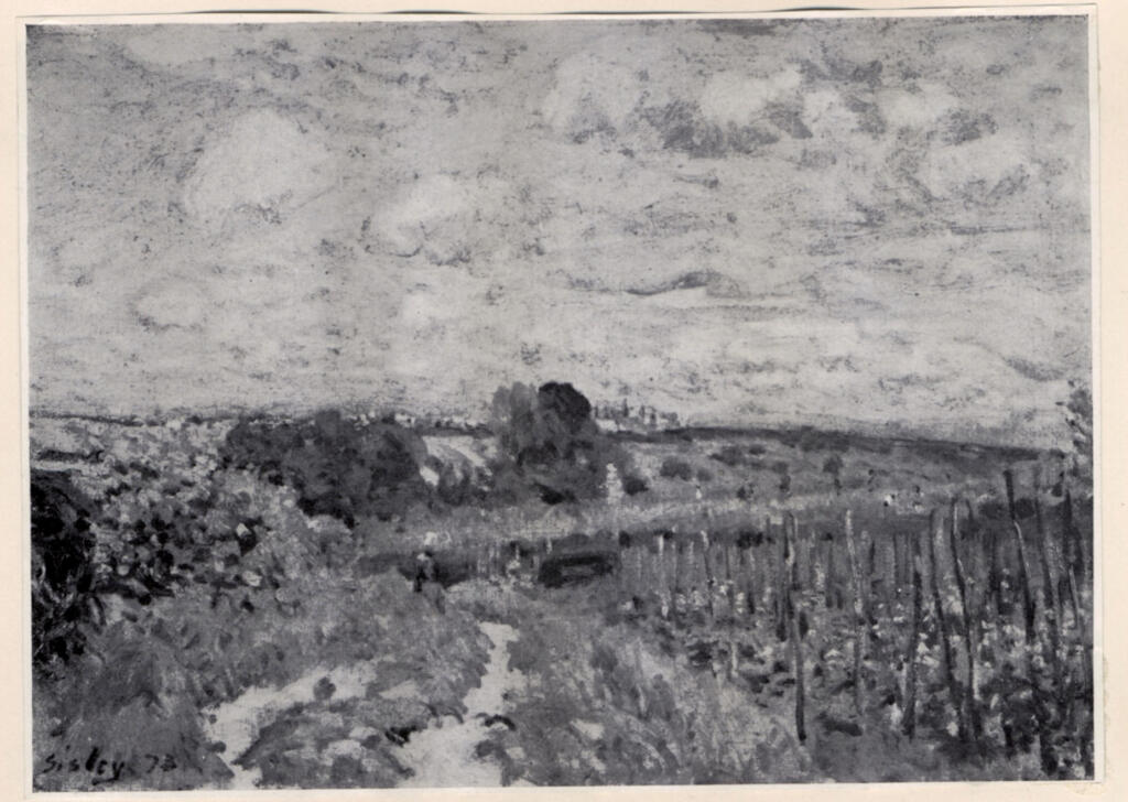 fronte
