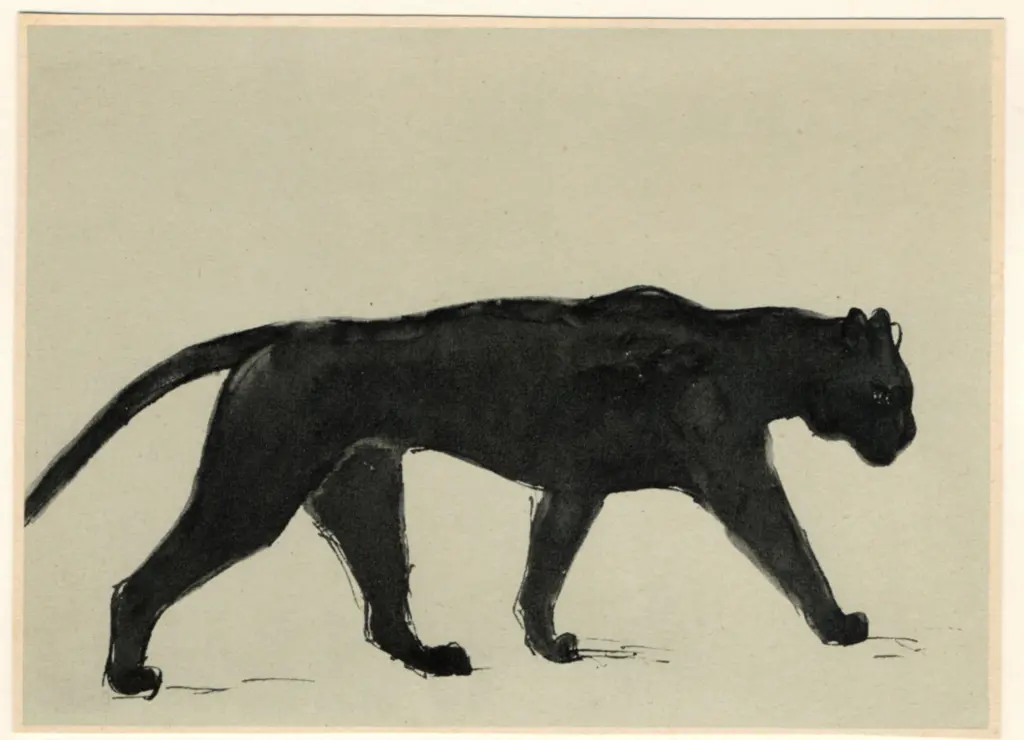 Anonimo, Anonimo , fronte