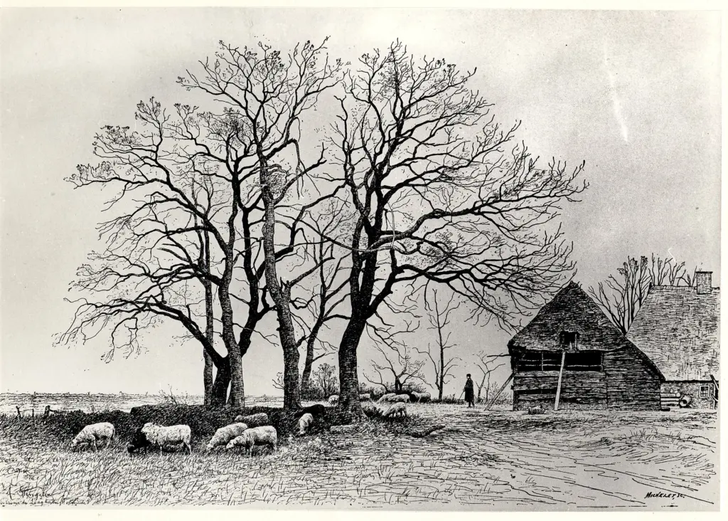Anonimo , Stengelin, Alphonse - sec. XIX - Environs de Laaghalen , fronte