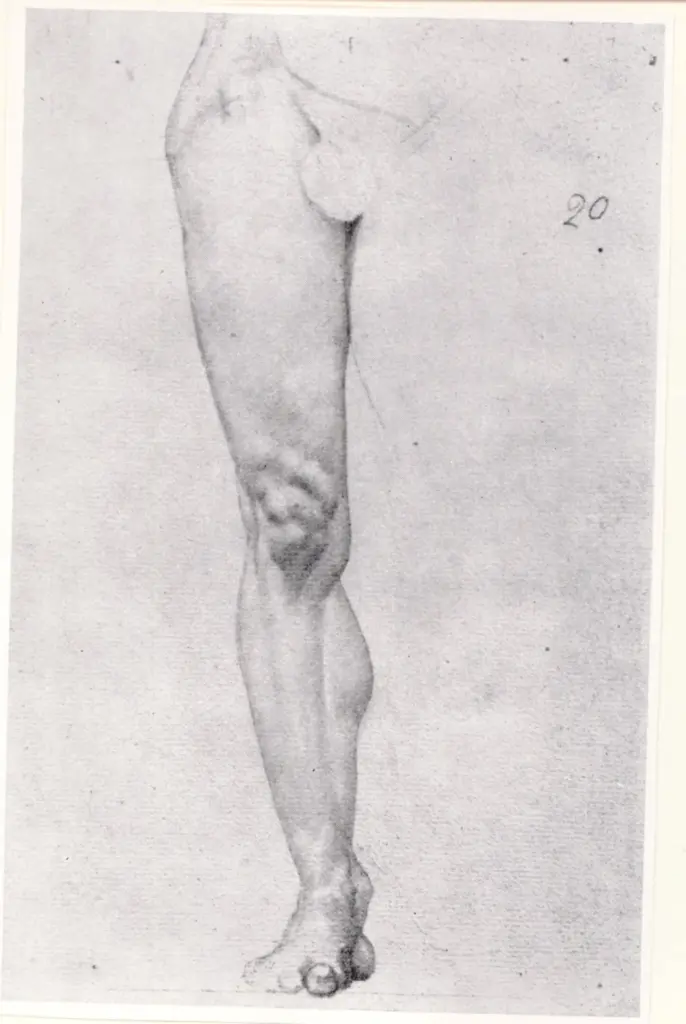 Anonimo , Seurat, Georges - sec. XIX - Etude d'une jambe , fronte